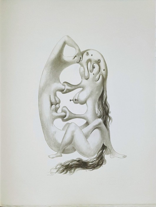 Jules PERAHIM - Compozitie Erotica 2, Heliogravura pe hartie Arches, 1972