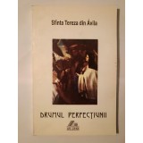 Sf&acirc;nta Tereza din Avila - Drumul perfecțiunii (Sf&icirc;nta Tereza...) (1995)