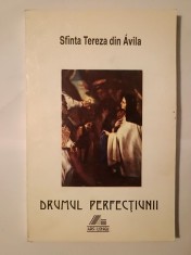 Sf&acirc;nta Tereza din Avila - Drumul perfecțiunii (Sf&icirc;nta Tereza...) (1995)