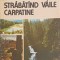 STRABATAND VAILE CARPATINE-PAUL DECEI-268517