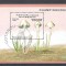 Benin 1996 Mushrooms, perf. sheet, used AB.004