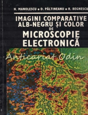 Imagini Comparative Alb-Negru Si Color De Microscopie Electronica foto