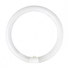 Tub Neon T5-22 W Circular pentru Lupa Cosmetica - 6500K