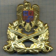 Y 1584 INSIGNA-MILITARA-EMBLEMA COIFURA- TRUPELE DE USCAT -PENTRU COLECTIONARI