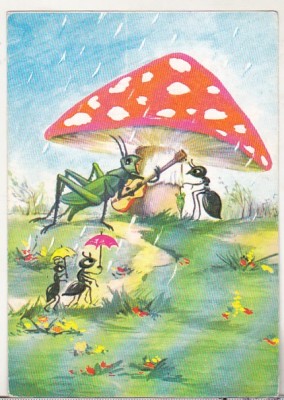 bnk cp Romania - felicitare - circulata - marca fixa - cod 3041/70 foto