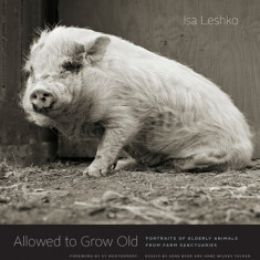 Allowed to Grow Old: Portraits of Elderly Animals from Farm Sanctuaries