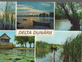 CPI B12835 CARTE POSTALA - DELTA DUNARII, Circulata, Fotografie