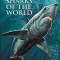 Sharks of the World
