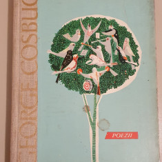 Poezii - George Cosbuc - ilustratii A. Stoicescu - coperti cartonate