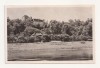 SG6 - Carte Postala - Germania, Meissen, Siebeneichen, Necirculata 1955, Fotografie