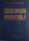 Enciclopedia Manageriala Iulian Ceausu - Carte