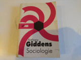 Sociologie. Anthony Giddens. 1997