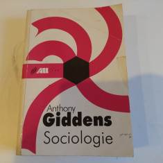 Sociologie. Anthony Giddens. 1997
