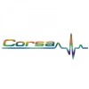 Sticker Opel Corsa Puls , Autocolant Sport pentru Personalizare Auto