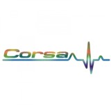 Cumpara ieftin Sticker Opel Corsa Puls