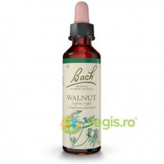 Bach 33 Walnut (Nuc) Picaturi 20ml