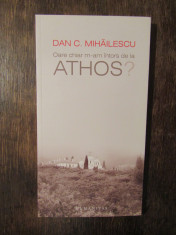 Oare chiar m-am intors de la Athos? - Dan C. Mihailescu foto