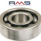 Rulment role roata spate Free/NRG/Quartz Cod Produs: MX_NEW 100151100RM