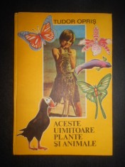 Tudor Opris - Aceste uimitoare plante si animale (1988, editie cartonata)
