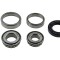 Rulment spate Daewoo Matiz 1998-, Chevrolet Spark 2003-, NTY KLT-DW-060