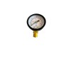 Manometru radial 50 mm 0-6 bar, conexiune inferioara 1/4" BSPT, Influent RM0004