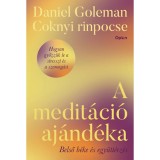 A medit&aacute;ci&oacute; aj&aacute;nd&eacute;ka - Belső b&eacute;ke &eacute;s egy&uuml;tt&eacute;rz&eacute;s - Daniel Goleman