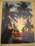 M2 R9 6 - Carte postala - Kenya