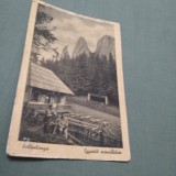 Cumpara ieftin CARTE POSTALA BALANBANYA -EGYESKOI MENEDEKHAZ -BALAN/HARGHITA/CIRCULATA1949