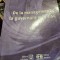 DE LA MANAGEMENT LA GUVERNARE PRIN RISC - GHEORGHE ILIE