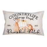 Cumpara ieftin Fata perna textil multicolor Pumpkin 30x50 cm