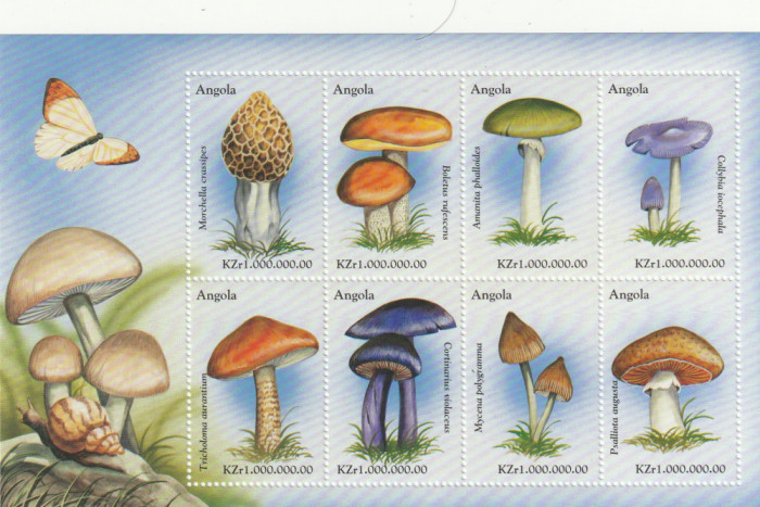 Angola 1999-Flora,Ciuperci,bloc 6 val, dantelate,MNH,Mi.1398-1405