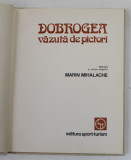 DOBROGEA VAZUTA DE PICTORI de MARIN MIHALACHE