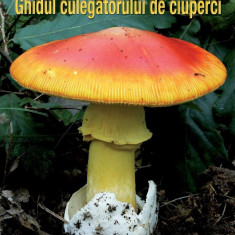 Ghidul culegătorului de ciuperci