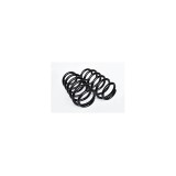 Set 2Bc Arc Suspensie Spate Sarcina Utila Marita (L=310Mm; D=16Mm) 575539 75074