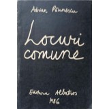 LOCURI COMUNE-ADRIAN PAUNESCU-197948