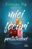 Mici focuri pretutindeni, Litera