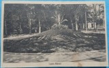 Carte Postala, Lacul Sarat, Parcul, 1936