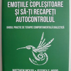 Cum sa-ti gestionezi emotiile coplesitoare si sa-ti recapeti autocontrolul - Matthew McKay