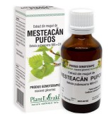 EXTRACT DIN MUGURI DE MESTEACAN PUFOS 50ML