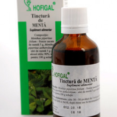 TINCTURA MENTA 50ML