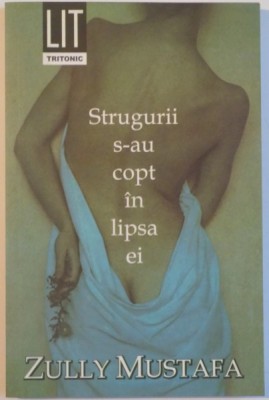 STRUGURII S-AU COPT IN LIPSA EI de ZULLY MUSTAFA, 2007 foto