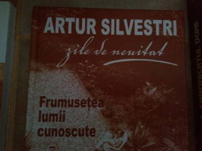 Artur Silvestri - Frumusetea lumii cunoscute (2009) foto