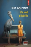 Ce văd păsările &ndash; Iulia Gherasim - Carte
