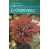 Profira Vidrascu - Crizantema