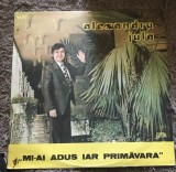 Vinil 2 Vinyl Electrecord Alexandru Jula