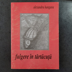 Alexandru Hanganu - Fulgere in tartacuta