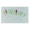 TAPARINA LINEAEFE RAIMBOW NR 4 10 BUCATI
