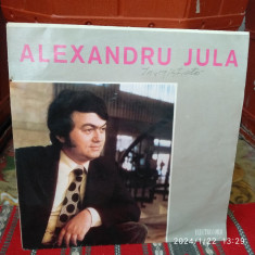 -Y- ALEXANDRU JULA EX + ( VINIL 7 " )DISC VINIL LP