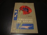 C. Moruzi - Curiozitati ale naturii - 1958