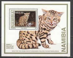 NAMIBIA 1997 FAUNA ANIMALE SALBATICE PISICI SALBATICE foto